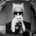 The "World's Richest Cat," Karl Lagerfeld's Choupette, May Actually be Broke