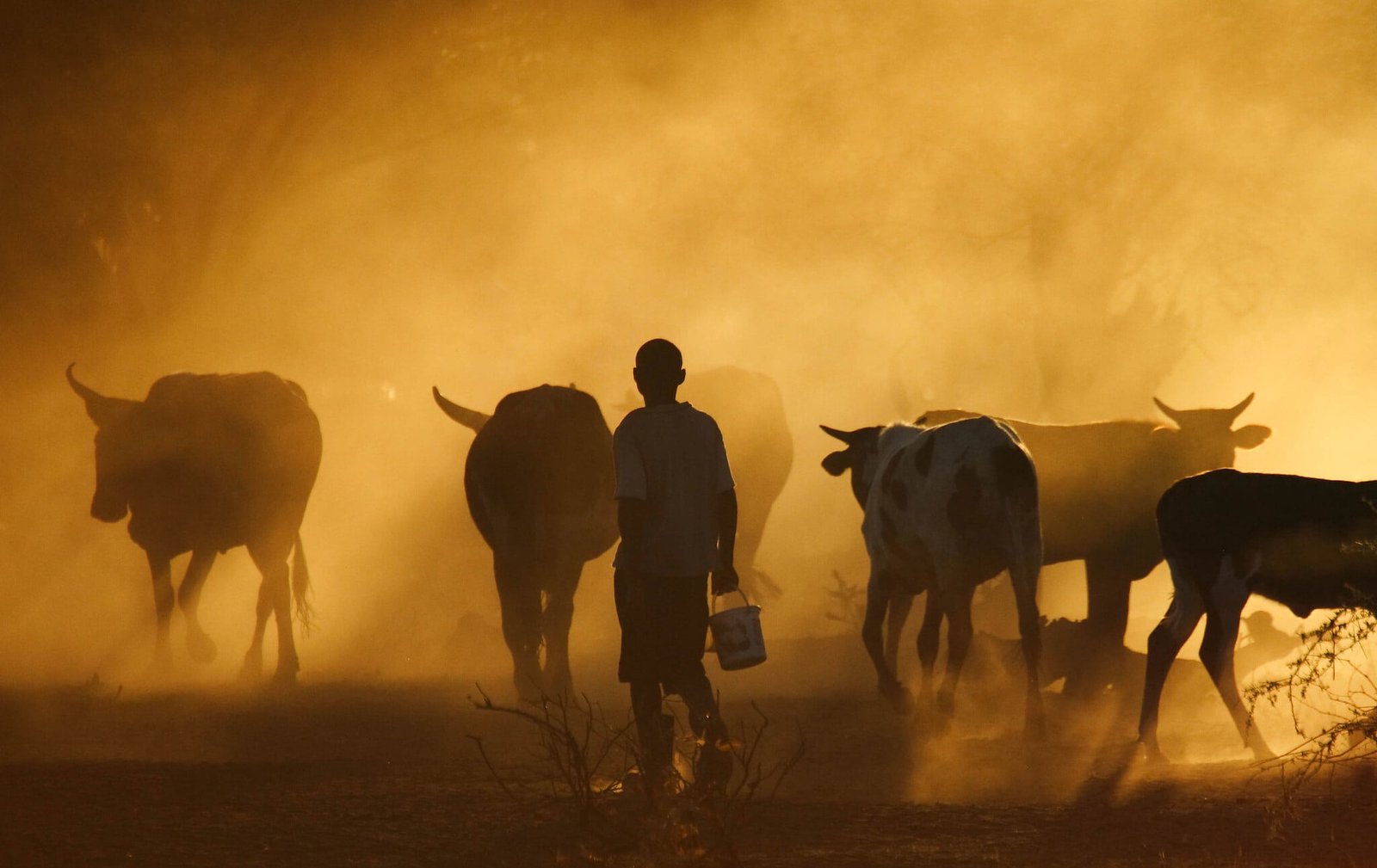 The African Farmers Devastated by Extreme Heat