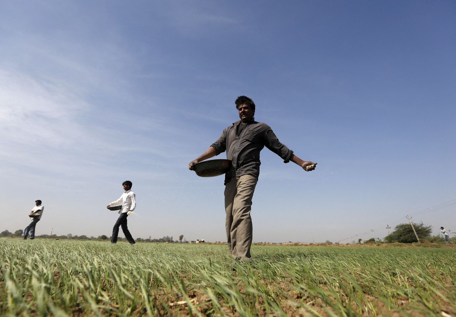 Fertilizer prices fall on hope for US-Iran deal