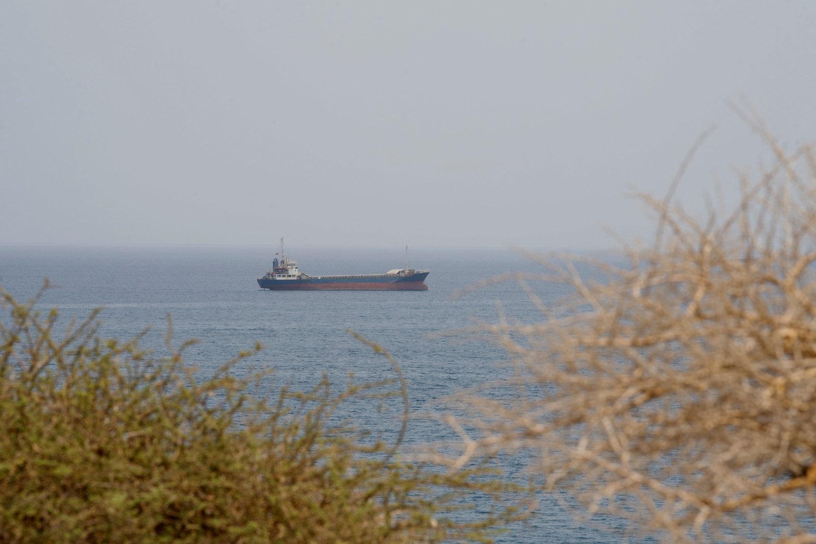 Hormuz risk pays off for shippers as profits soar