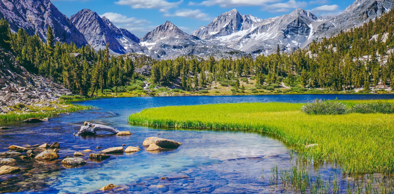Where the wild things thrive: Finding and protecting nature’s climate change safe havens