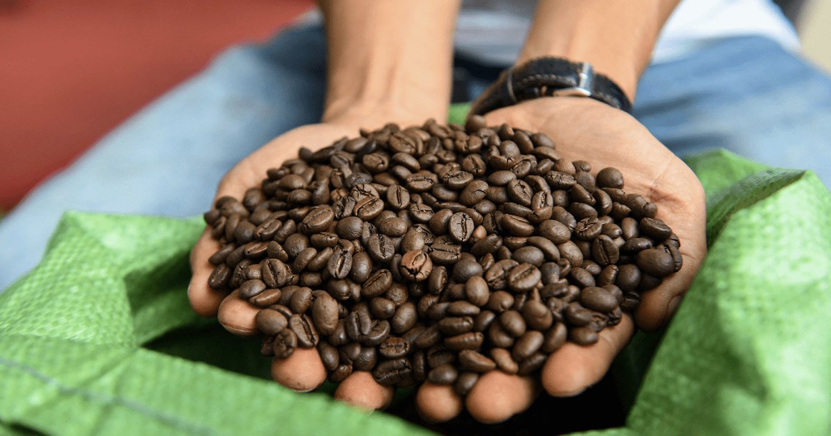 We Are Drinking the Earth—and Eating It