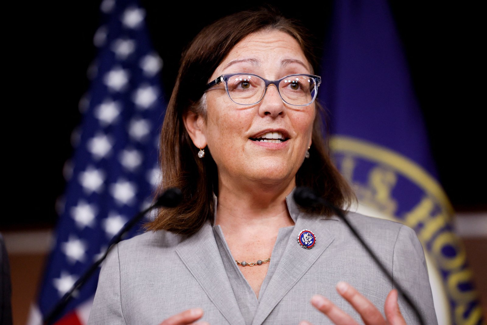 DCCC chief says tariffs will hand Democrats the House