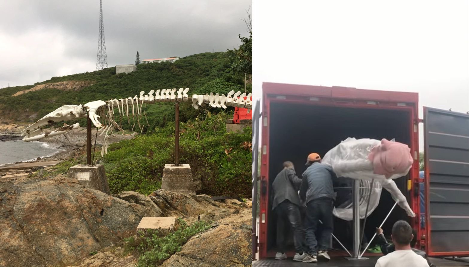 Fresh replica breathes new life into 'Hong Kong’s Whale'