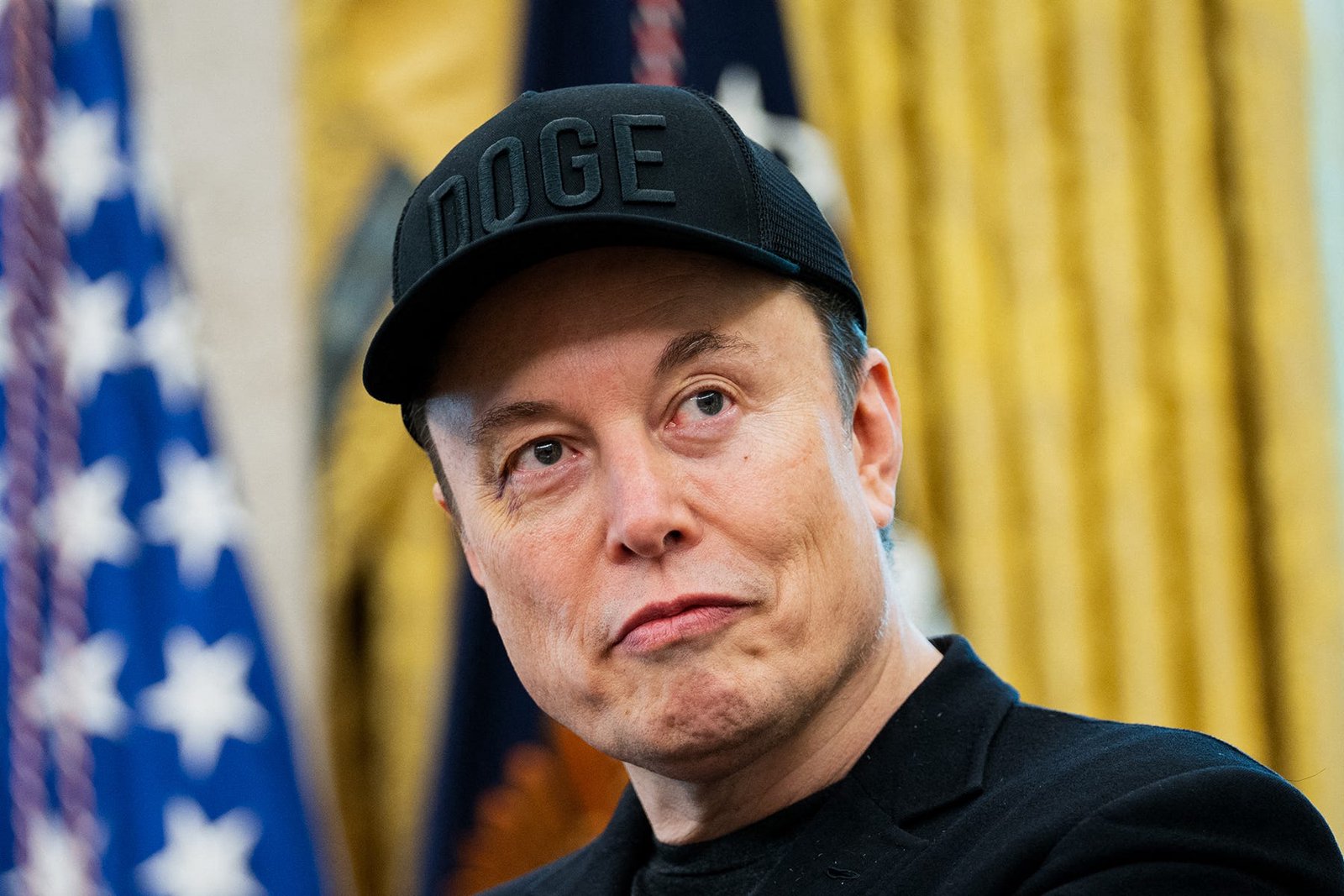 Elon Musk Imagined I Committed the Fraud He Couldn't Find