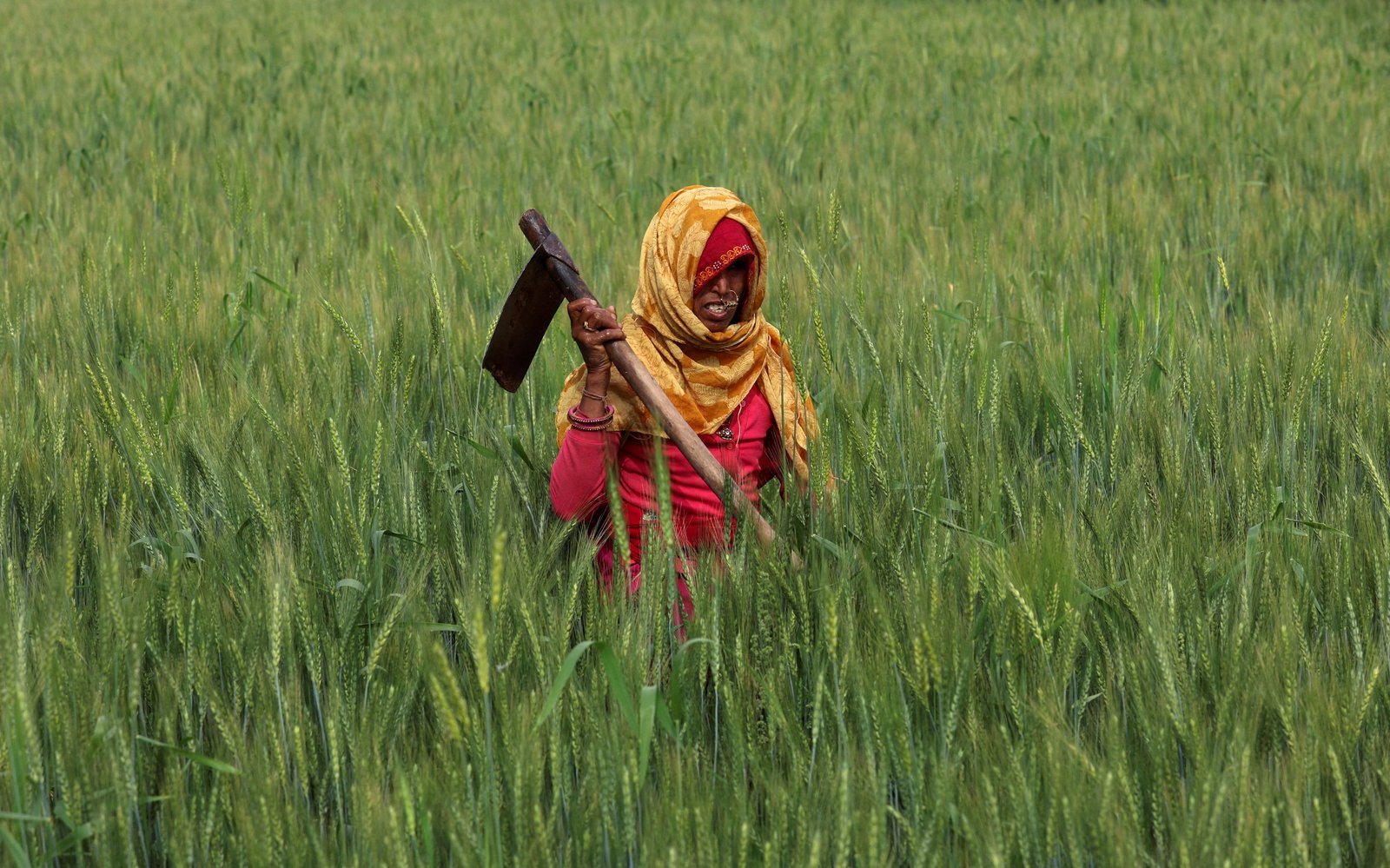 War squeezes Asian farmers, oil prices
