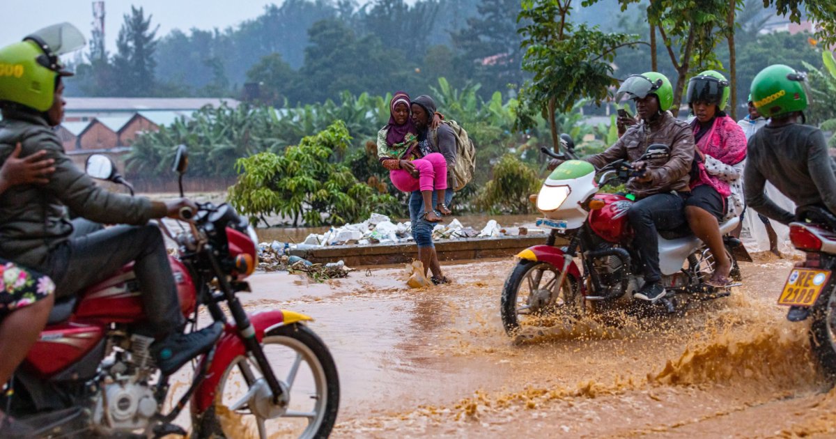 A Flood-Plagued African City Sets Out to Reengineer Its Wetlands