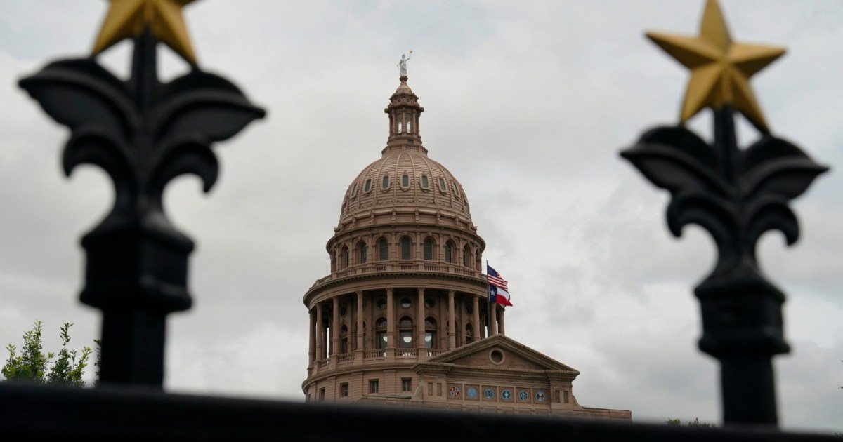 Texas Democrat Flips State Senate District That Trump Won by 17 Points