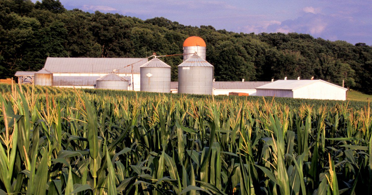 This Ohio County Banned Commercial Wind and Solar. Not So Fast, Residents Said.