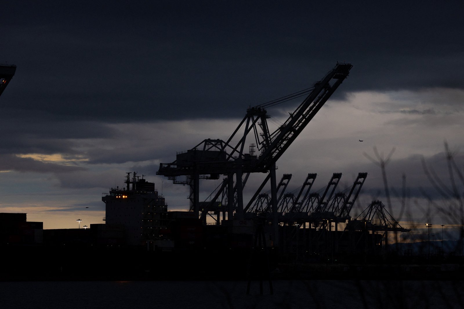 Economists predict minor disruption from Trump's new tariffs