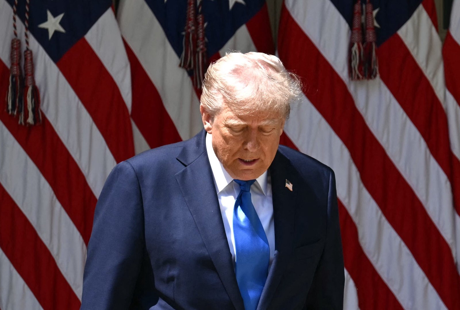 This Week in Democracy – Week 33: Trump Loses in Court. Again