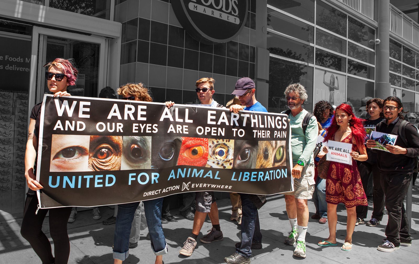 The Coming Revolution of Animal Rights