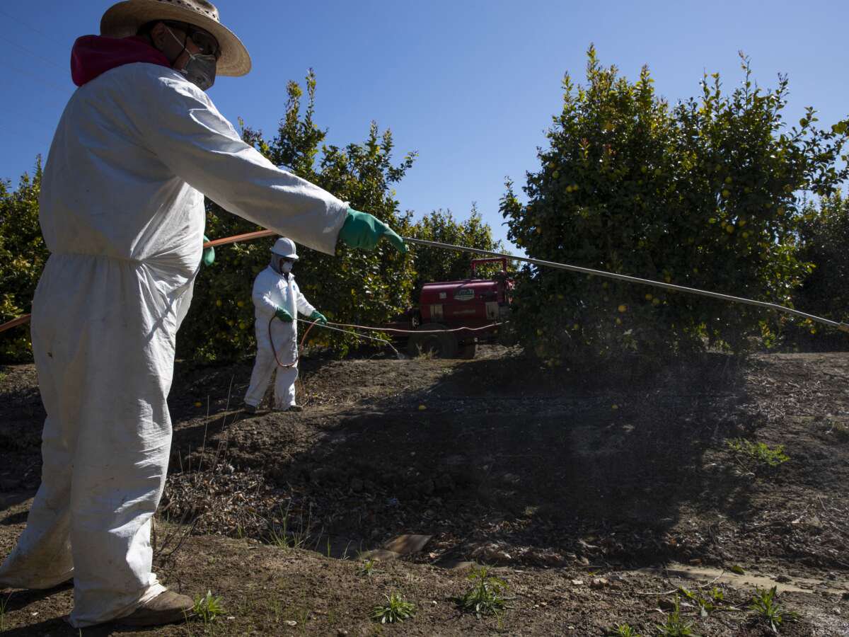 New Medicaid Work Requirements May Strip Farmworkers of Health Insurance