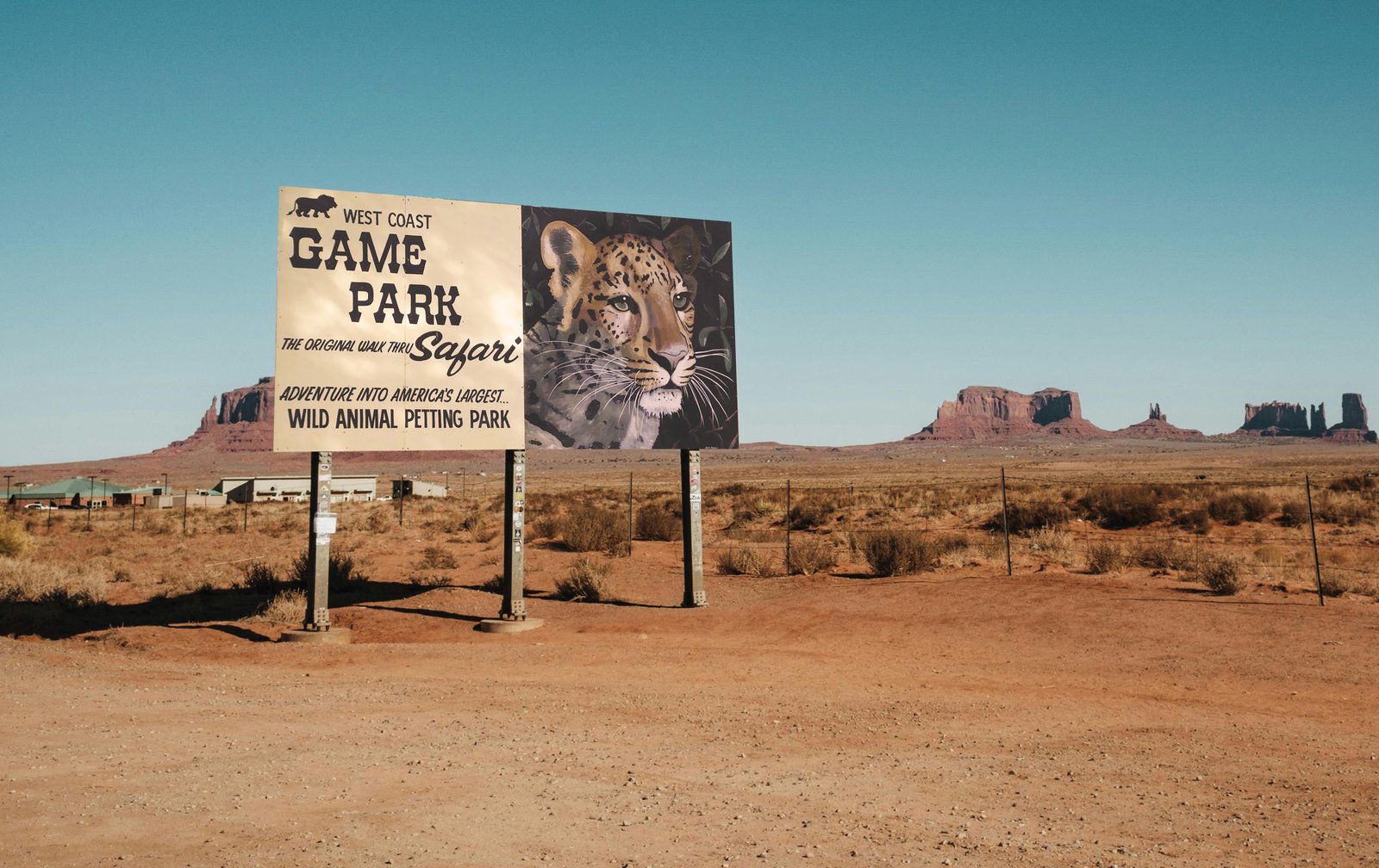 Inside the Dark and Unregulated World of Roadside Zoos