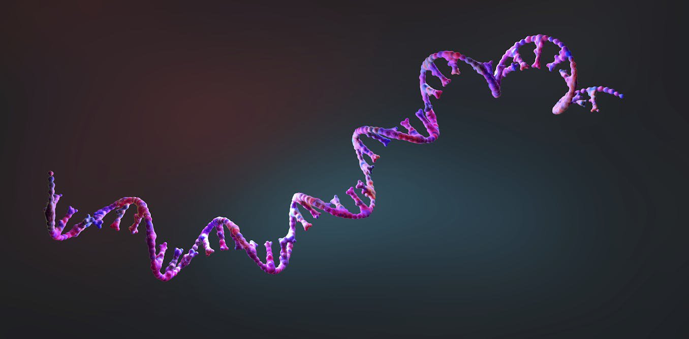 First mRNA flu shot approved by FDA bodes well for improving drugs of the future – though a few hurdles remain before mRNA can move beyond vaccines