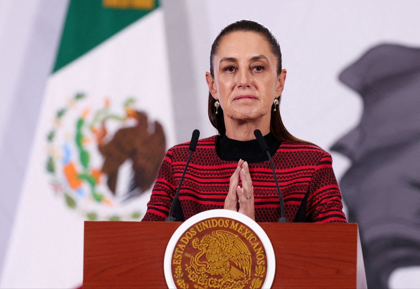 Mexico arrests cartel leader amid widening gang crackdown