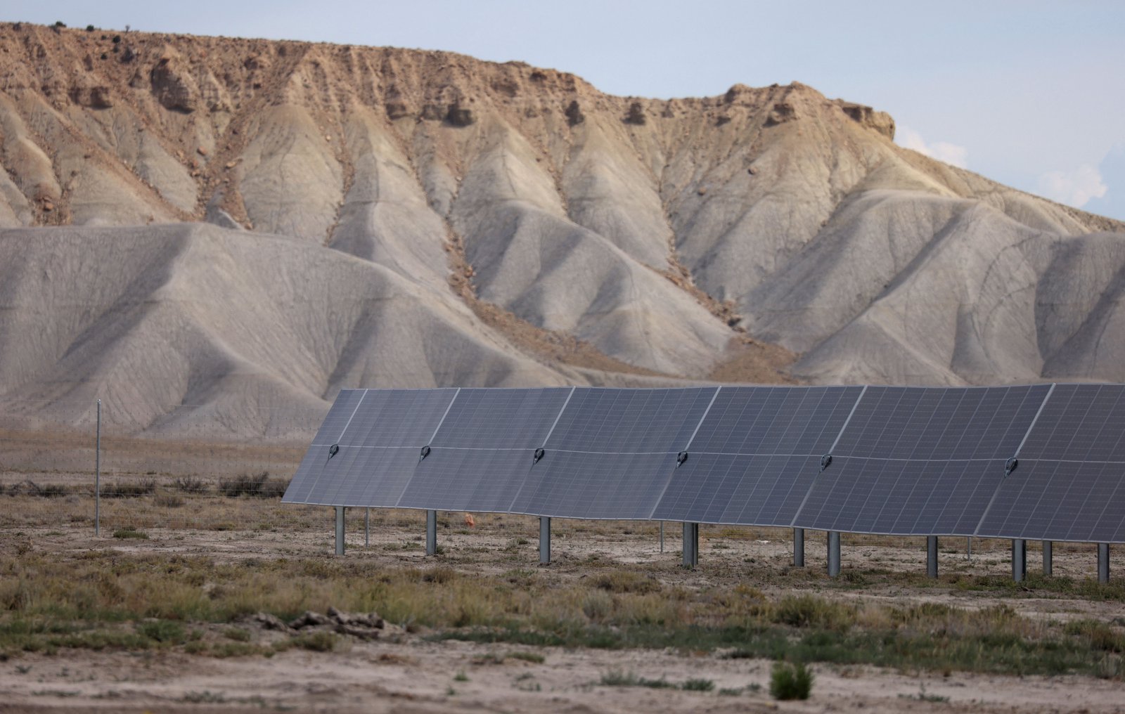 Sustainability the second-fastest growing sector globally