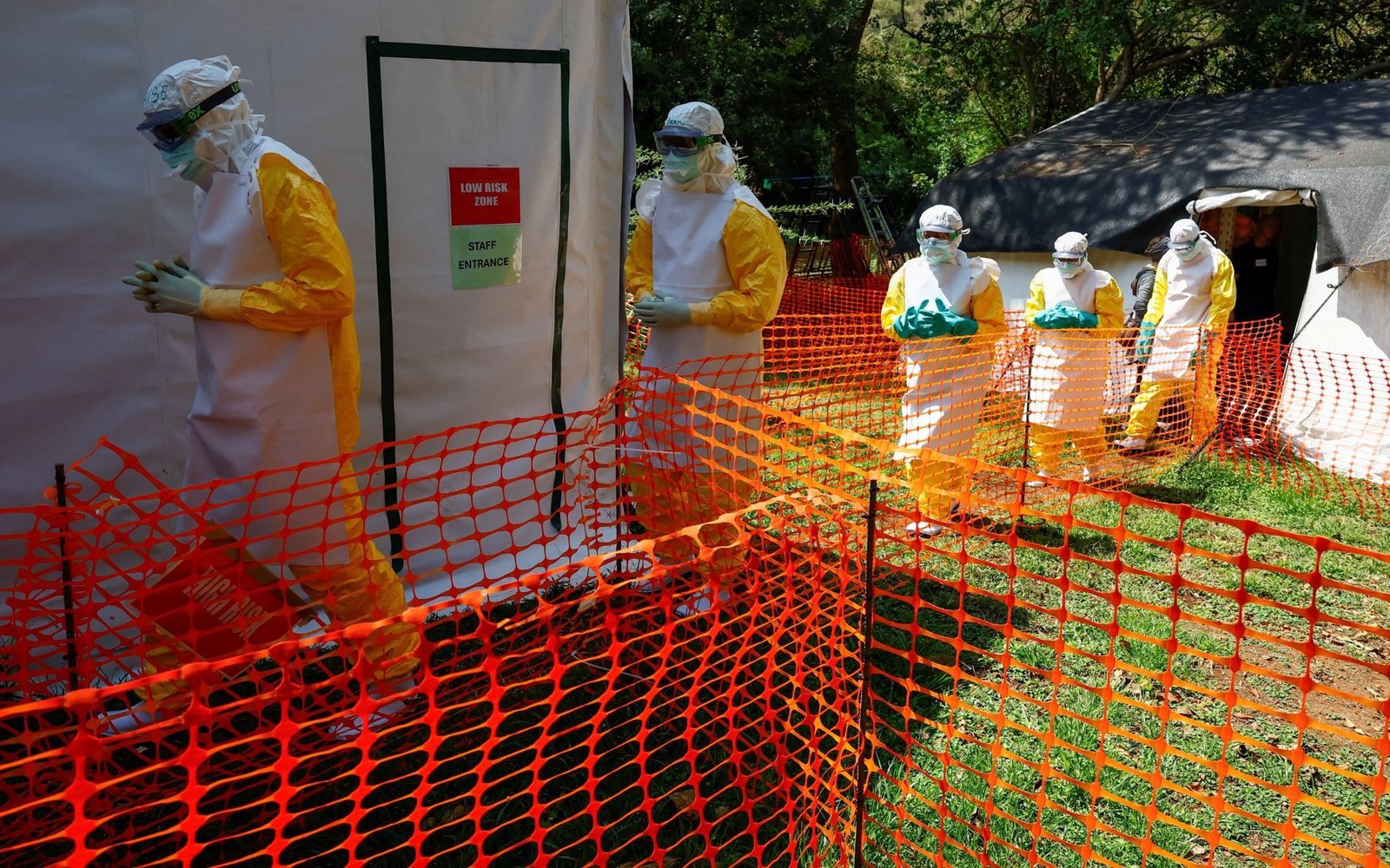 Ebola spread undetected for months, WHO says