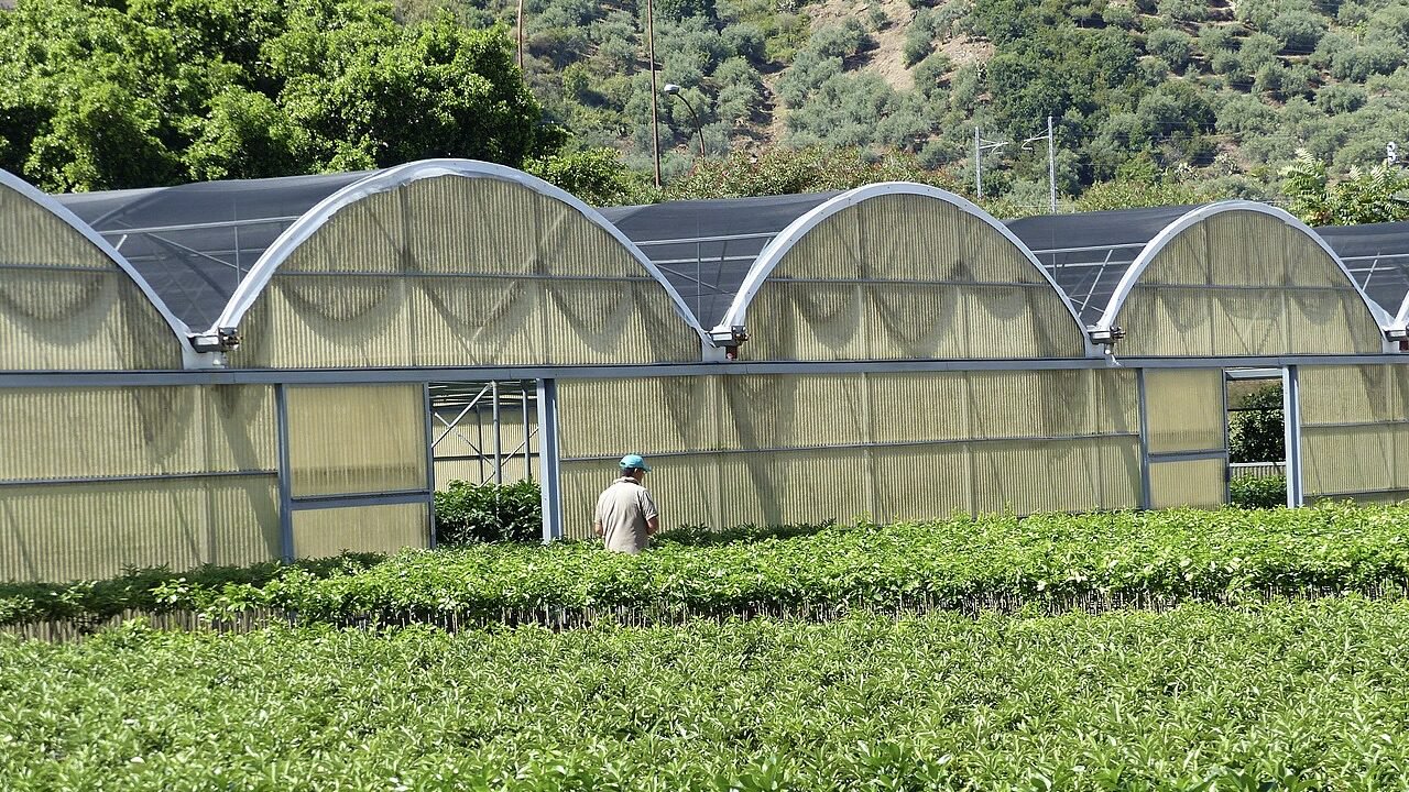 Four migrant farmworkers burned alive in Italy for demanding labor rights