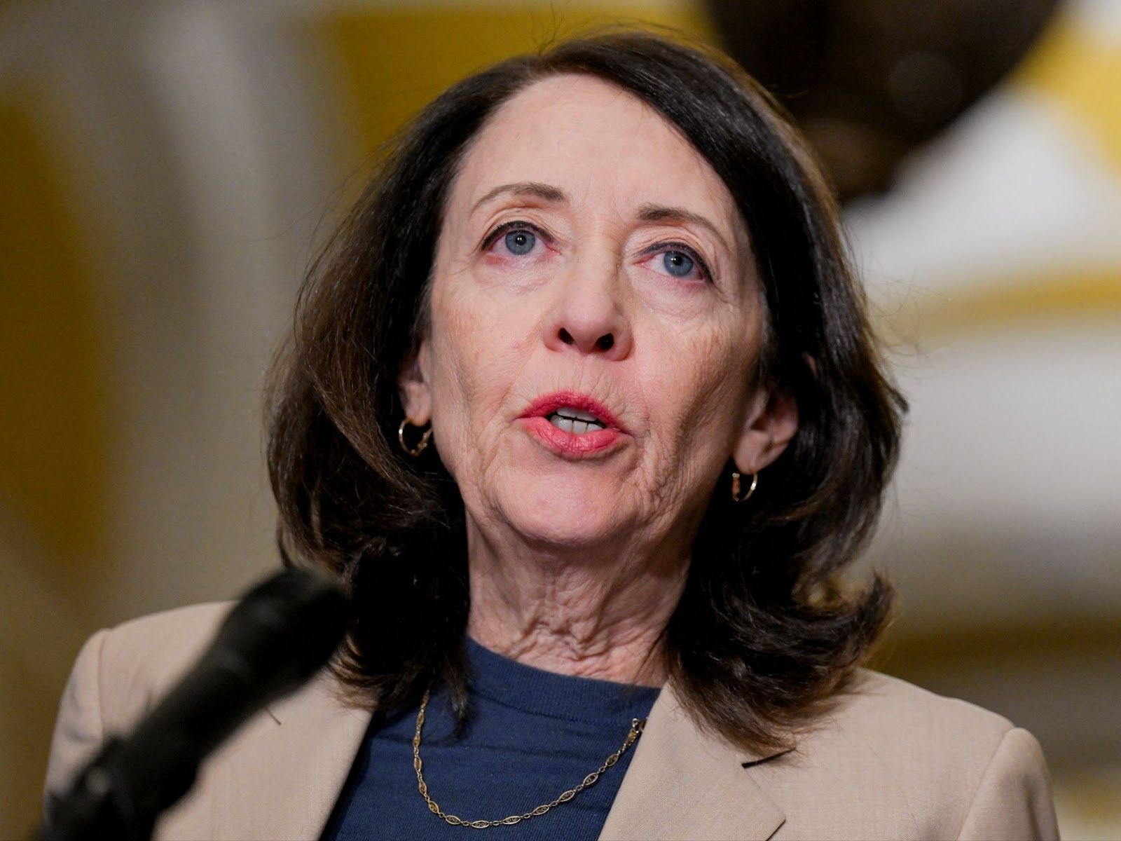 China investment curbs hit roadblock in Congress