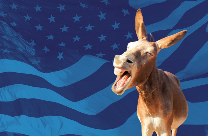 A Designated Spokesperson for Democrats?