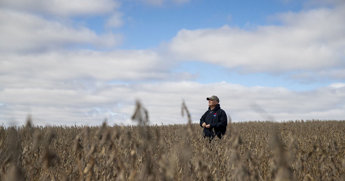 A 90-Second Crash Course in Trump’s Betrayal of American Soy Farmers