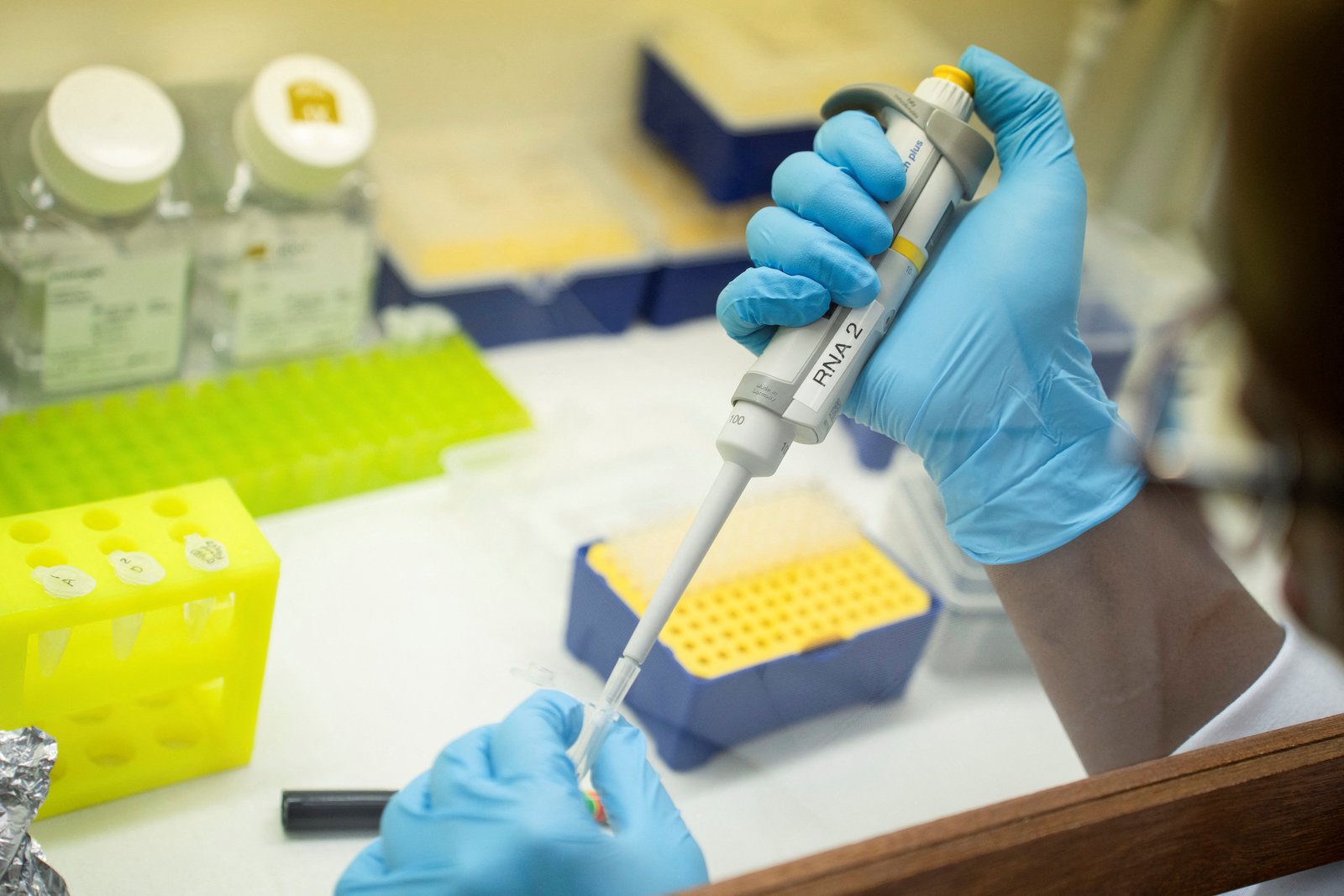 Around 40% of research papers may be fraudulent, study says