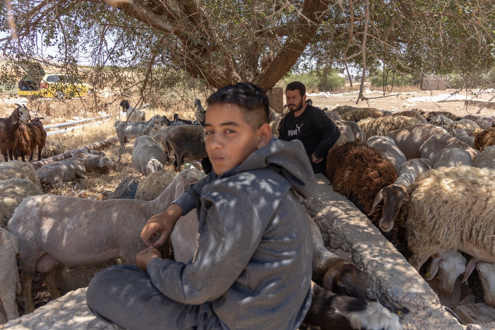 The Crimson Thread: The Israeli Military Barrier Cutting Off Palestine’s Breadbasket