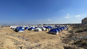 The Palestine Industry: The Rats of Gaza and the Opportunists Among Us