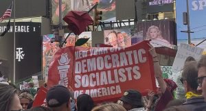 NYC Socialists are Trying to Expand Their Electoral Wins