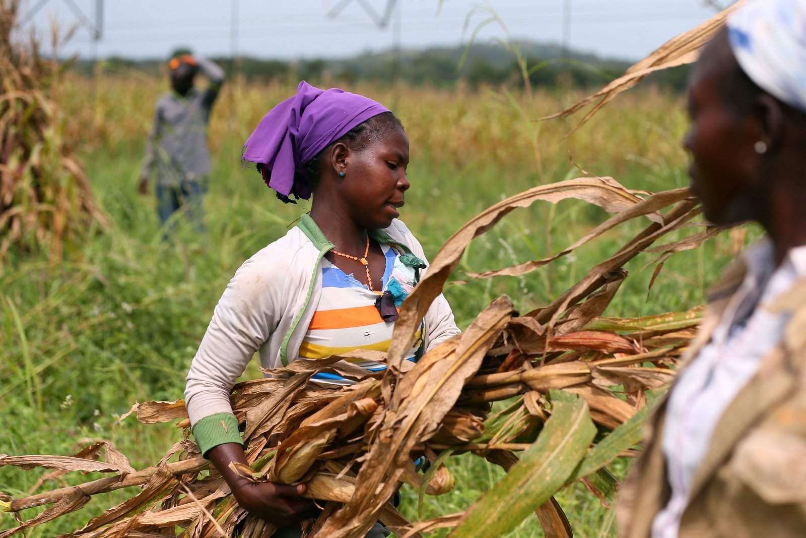 El Niño threatens Africa’s food security