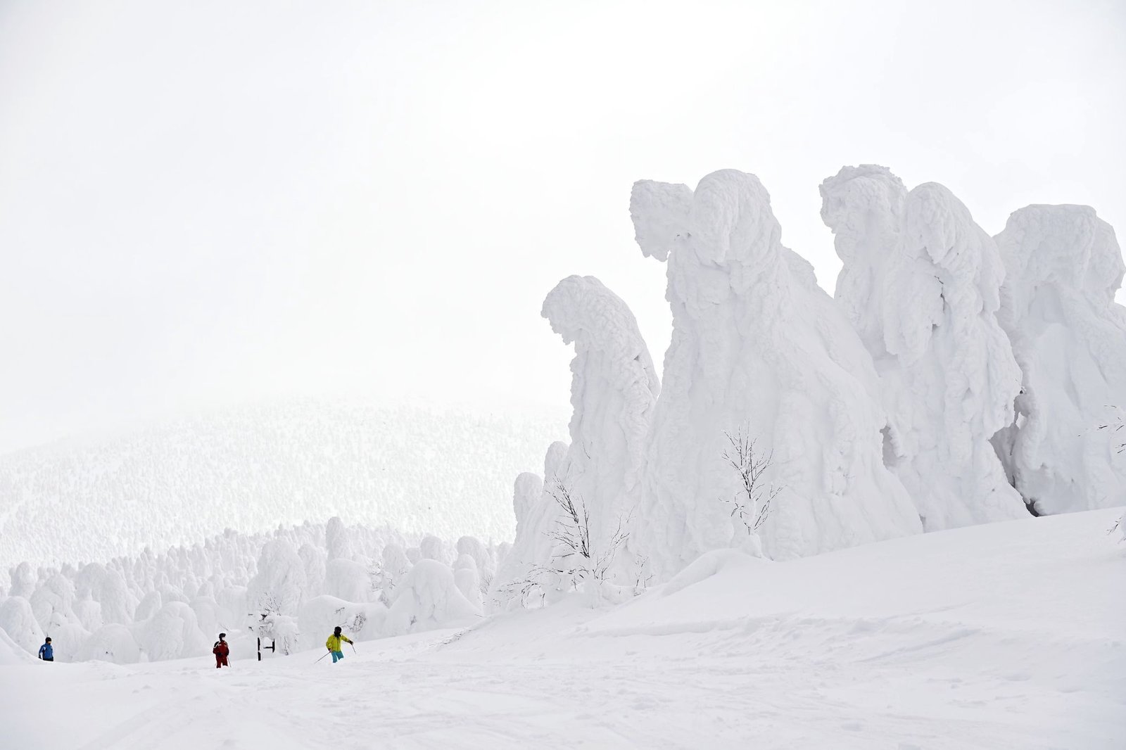 Fighting to save Japan's 'snow monsters'