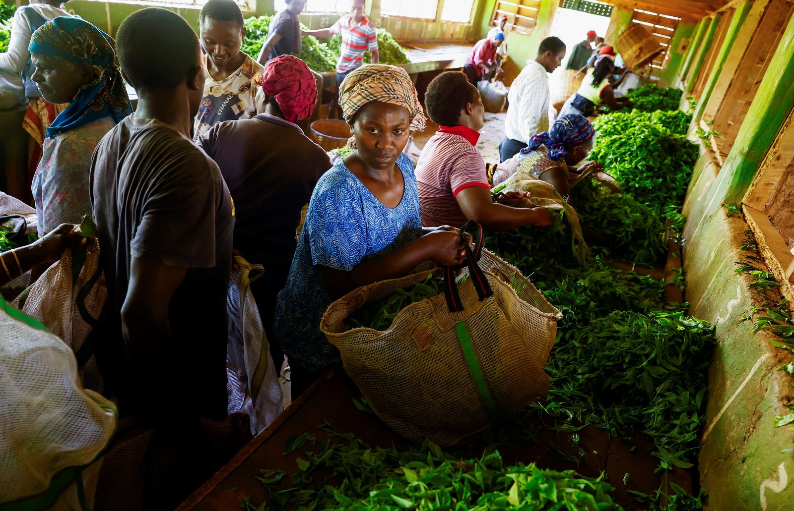 Fears of food crisis mount in Africa
