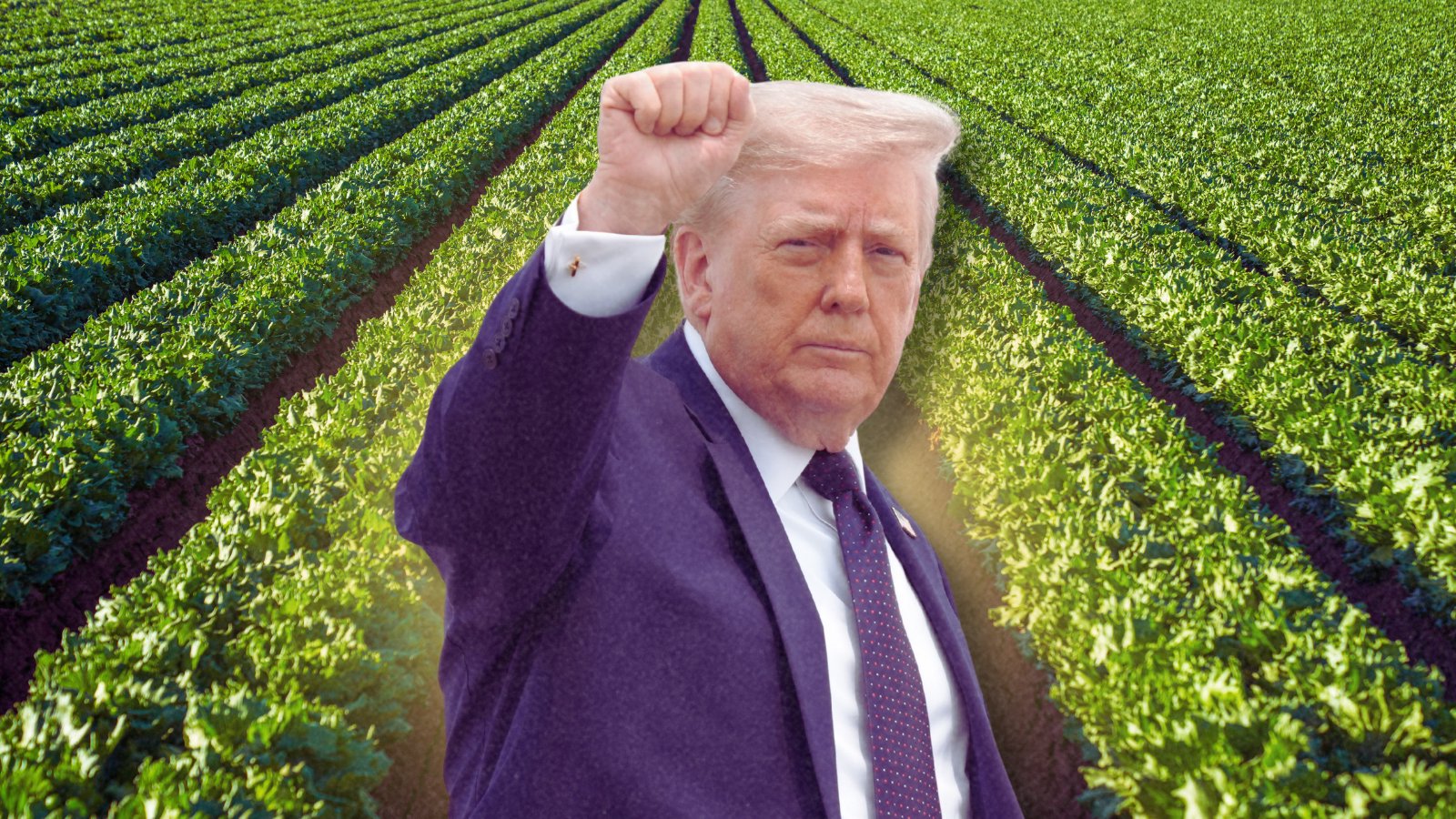  Repeat Food Contaminator Gave $2.2 Million to GOP. Now Thousands Are Sick 