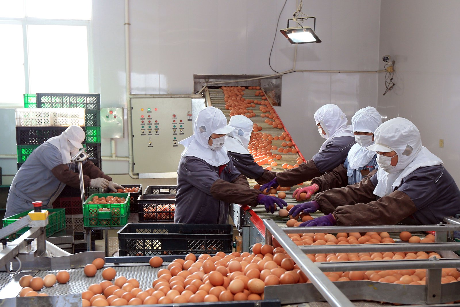 Soaring egg prices expose cracks in two-track China economy