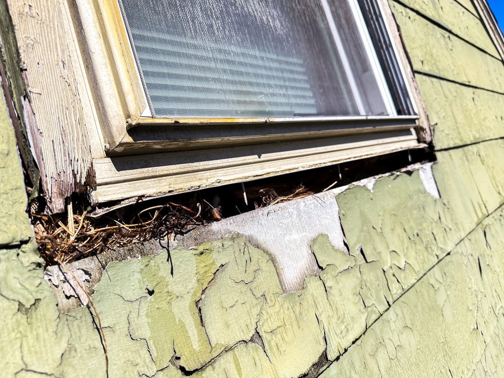 The Housing Crisis You’re Not Hearing About