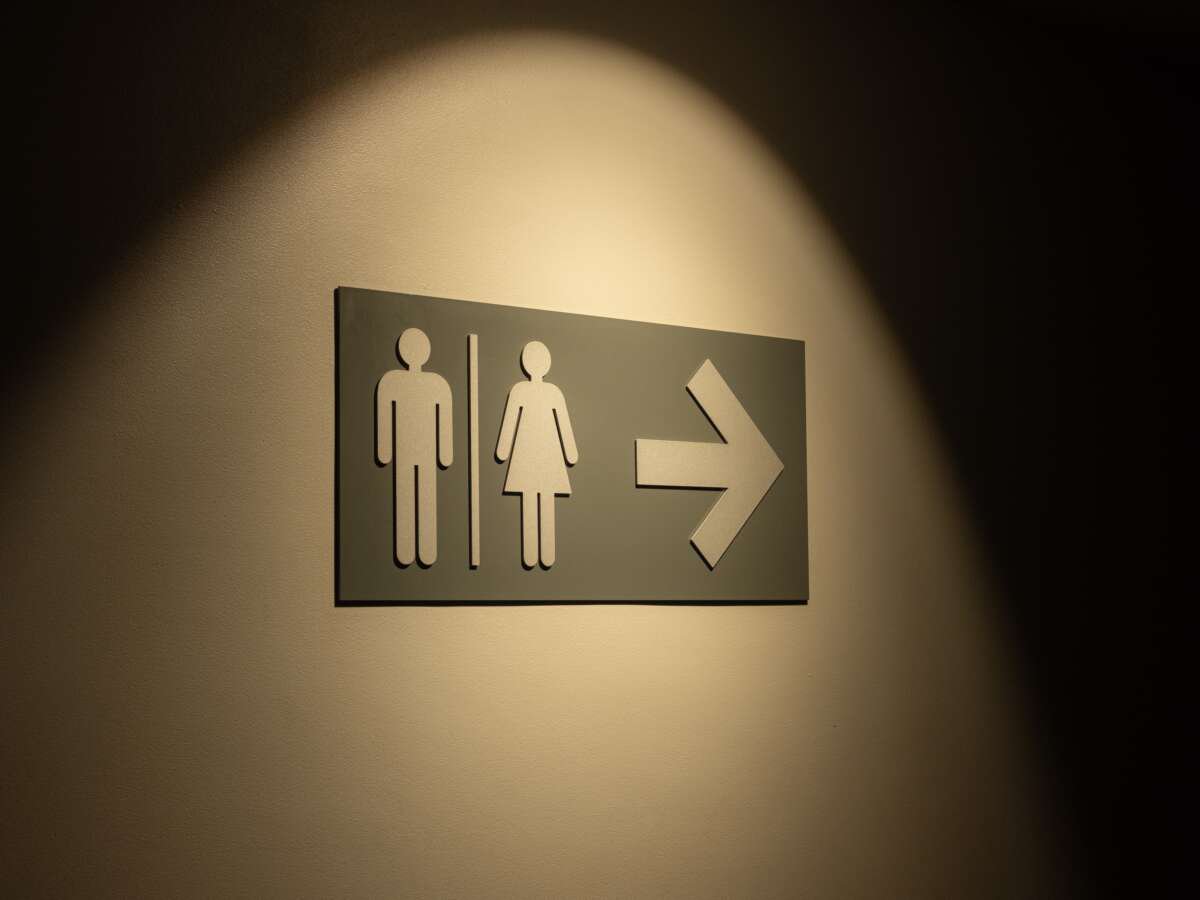 Temporary Blocking of Idaho’s Bathroom Ban Isn’t Actually a Win for Trans Rights