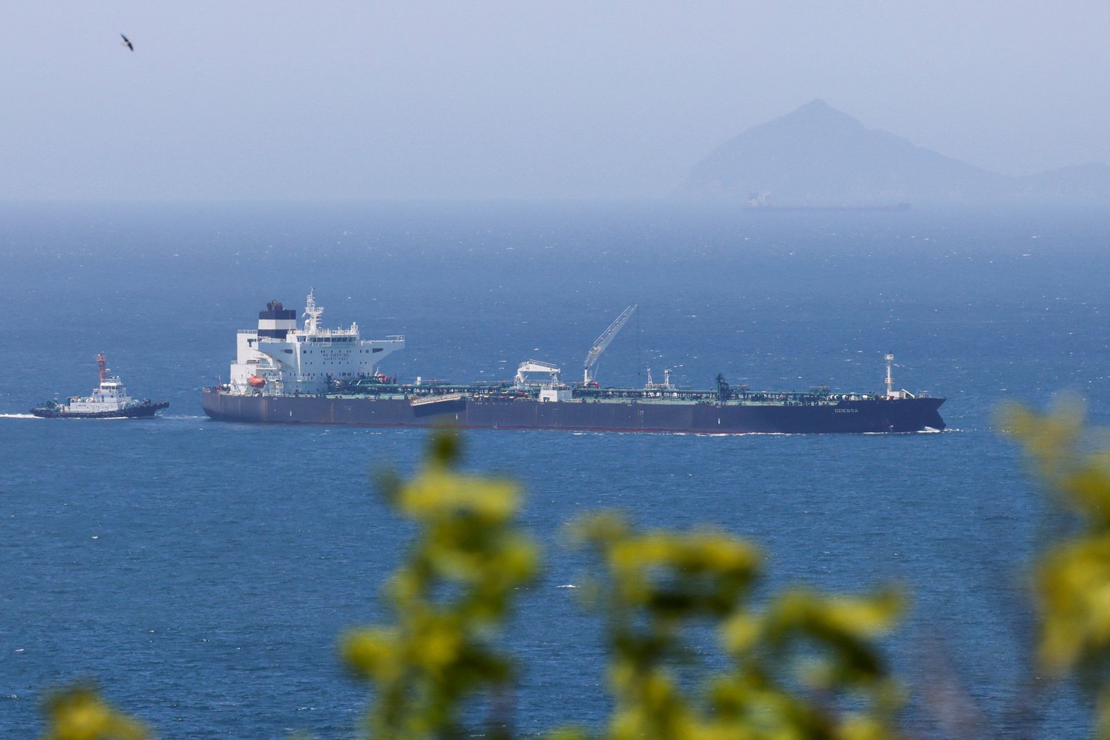 UAE oil exports hit a high amid Iran war