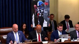 "De Facto Dictatorship": Democrats Confront ICE, CBP Officials on Brutal Tactics