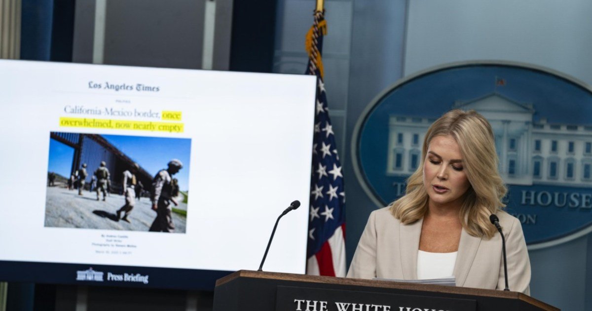 Mom of Karoline Leavitt’s Nephew Speaks Out From ICE Custody