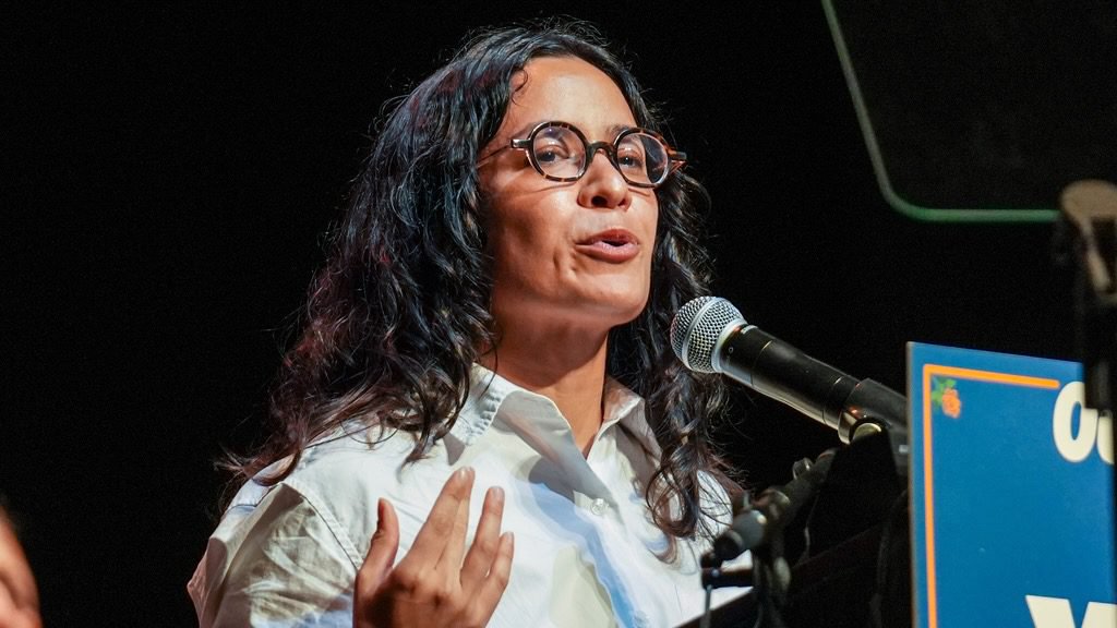 A socialist wave is reshaping Democratic primaries. Claire Valdez says the movement is only beginning