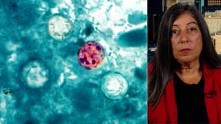 "Tipping Point": Ex-CDC Official Links Cyclospora & Measles Outbreaks to Trump's Public Health Cuts